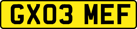 GX03MEF