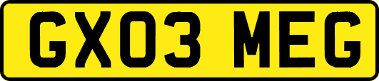 GX03MEG