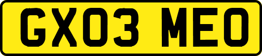 GX03MEO