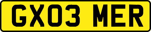 GX03MER
