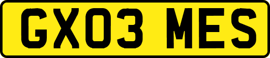 GX03MES