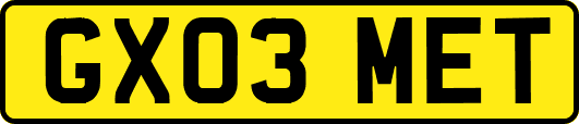 GX03MET