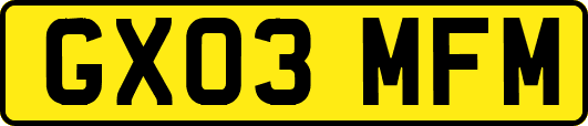 GX03MFM