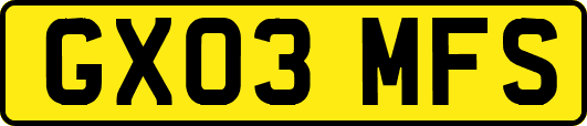 GX03MFS