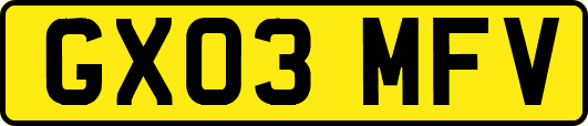 GX03MFV