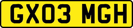 GX03MGH