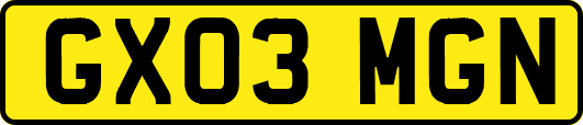 GX03MGN