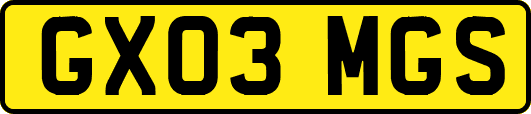 GX03MGS