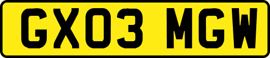 GX03MGW
