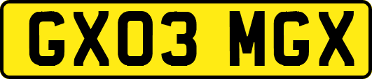 GX03MGX