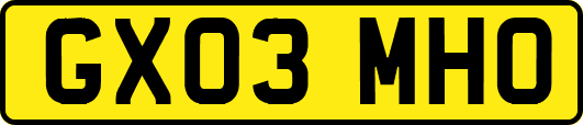 GX03MHO
