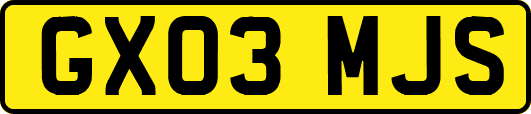 GX03MJS