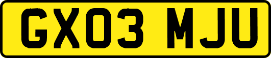GX03MJU