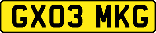 GX03MKG