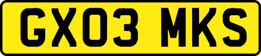 GX03MKS