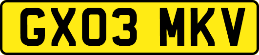 GX03MKV