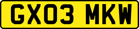 GX03MKW