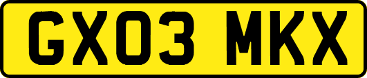GX03MKX