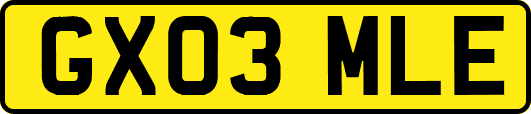 GX03MLE