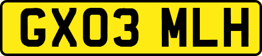 GX03MLH