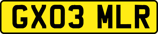 GX03MLR
