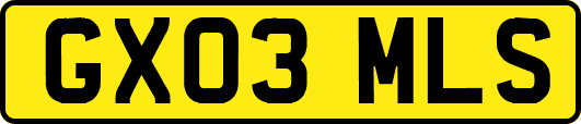 GX03MLS