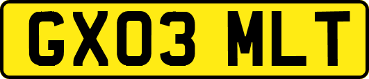 GX03MLT