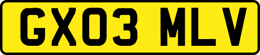 GX03MLV