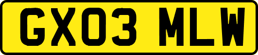 GX03MLW