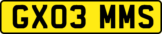 GX03MMS