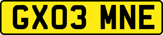 GX03MNE