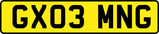 GX03MNG