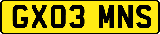GX03MNS