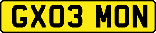 GX03MON