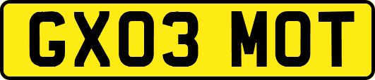 GX03MOT