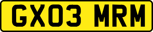 GX03MRM