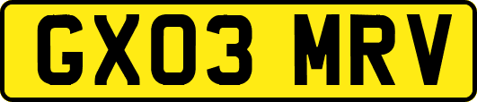 GX03MRV