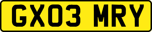 GX03MRY