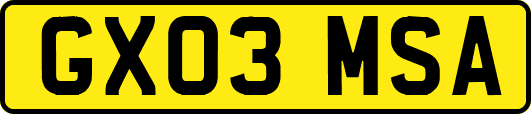 GX03MSA