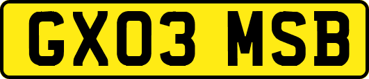 GX03MSB