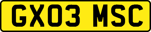 GX03MSC