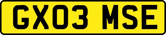 GX03MSE