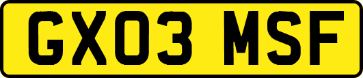 GX03MSF