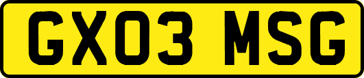 GX03MSG