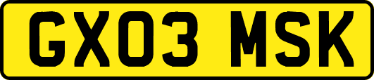 GX03MSK