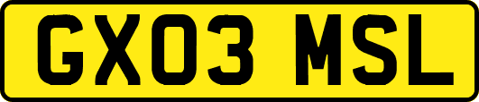 GX03MSL