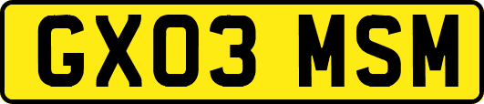 GX03MSM