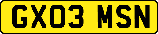 GX03MSN