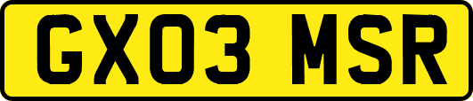 GX03MSR