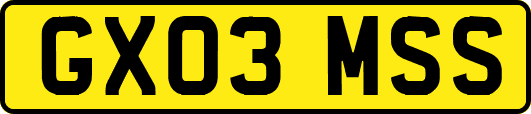 GX03MSS